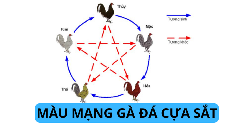 Mạng mộc - gà xám