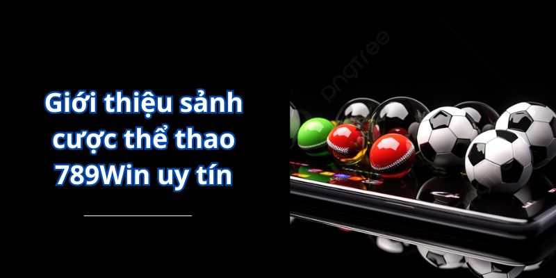 Giới thiệu sảnh cược thể thao 789Win uy tín